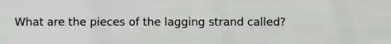 What are the pieces of the lagging strand called?