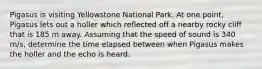 Pigasus is visiting Yellowstone National Park. At one point, Pigasus lets out a holler which reflected off a nearby rocky cliff that is 185 m away. Assuming that the speed of sound is 340 m/s, determine the time elapsed between when Pigasus makes the holler and the echo is heard.