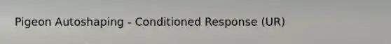 Pigeon Autoshaping - Conditioned Response (UR)