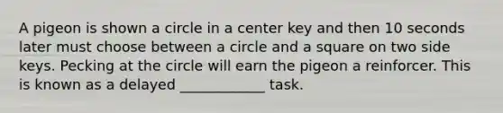 A pigeon is shown a circle in a center key and then 10 seconds later must choose between a circle and a square on two side keys. Pecking at the circle will earn the pigeon a reinforcer. This is known as a delayed ____________ task.