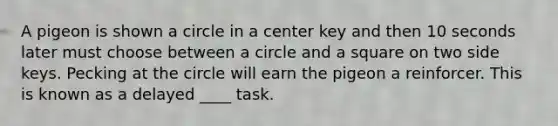 A pigeon is shown a circle in a center key and then 10 seconds later must choose between a circle and a square on two side keys. Pecking at the circle will earn the pigeon a reinforcer. This is known as a delayed ____ task.