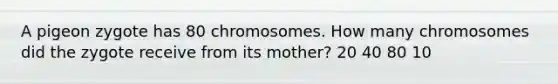 A pigeon zygote has 80 chromosomes. How many chromosomes did the zygote receive from its mother? 20 40 80 10