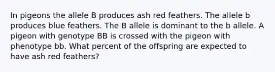 In pigeons the allele B produces ash red feathers. The allele b produces blue feathers. The B allele is dominant to the b allele. A pigeon with genotype BB is crossed with the pigeon with phenotype bb. What percent of the offspring are expected to have ash red feathers?