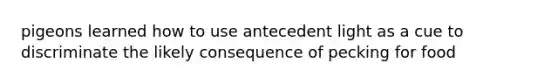 pigeons learned how to use antecedent light as a cue to discriminate the likely consequence of pecking for food