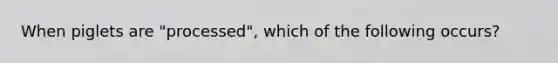 When piglets are "processed", which of the following occurs?