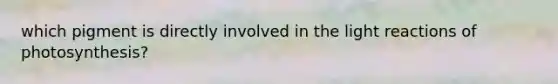 which pigment is directly involved in the <a href='https://www.questionai.com/knowledge/kSUoWrrvoC-light-reactions' class='anchor-knowledge'>light reactions</a> of photosynthesis?