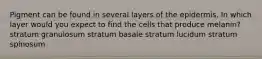 Pigment can be found in several layers of the epidermis. In which layer would you expect to find the cells that produce melanin? stratum granulosum stratum basale stratum lucidum stratum spinosum