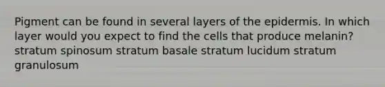 Pigment can be found in several layers of the epidermis. In which layer would you expect to find the cells that produce melanin? stratum spinosum stratum basale stratum lucidum stratum granulosum