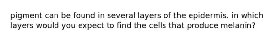 pigment can be found in several layers of the epidermis. in which layers would you expect to find the cells that produce melanin?