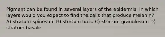 Pigment can be found in several layers of the epidermis. In which layers would you expect to find the cells that produce melanin? A) stratum spinosum B) stratum lucid C) stratum granulosum D) stratum basale