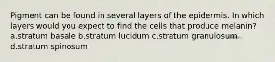 Pigment can be found in several layers of the epidermis. In which layers would you expect to find the cells that produce melanin? a.stratum basale b.stratum lucidum c.stratum granulosum d.stratum spinosum