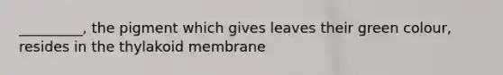 _________, the pigment which gives leaves their green colour, resides in the thylakoid membrane