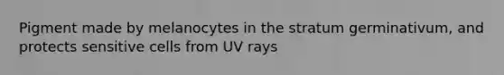 Pigment made by melanocytes in the stratum germinativum, and protects sensitive cells from UV rays