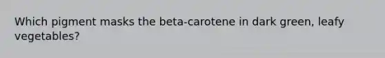 Which pigment masks the beta-carotene in dark green, leafy vegetables?