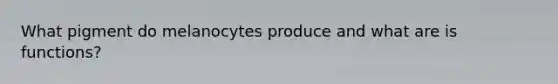 What pigment do melanocytes produce and what are is functions?