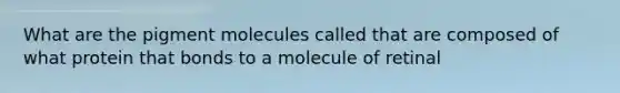 What are the pigment molecules called that are composed of what protein that bonds to a molecule of retinal