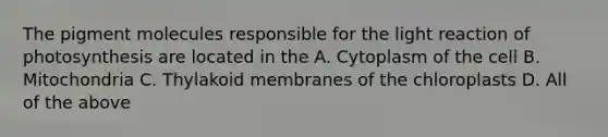 The pigment molecules responsible for the light reaction of photosynthesis are located in the A. Cytoplasm of the cell B. Mitochondria C. Thylakoid membranes of the chloroplasts D. All of the above