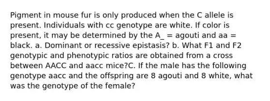 Pigment in mouse fur is only produced when the C allele is present. Individuals with cc genotype are white. If color is present, it may be determined by the A_ = agouti and aa = black. a. Dominant or recessive epistasis? b. What F1 and F2 genotypic and phenotypic ratios are obtained from a cross between AACC and aacc mice?C. If the male has the following genotype aacc and the offspring are 8 agouti and 8 white, what was the genotype of the female?