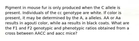 Pigment in mouse fur is only produced when the C allele is present. Individuals of the cc genotype are white. If color is present, it may be determined by the A, a alleles. AA or Aa results in agouti color, while aa results in black coats. What are the F1 and F2 genotypic and phenotypic ratios obtained from a cross between AACC and aacc mice?