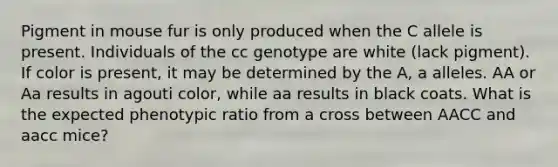 Pigment in mouse fur is only produced when the C allele is present. Individuals of the cc genotype are white (lack pigment). If color is present, it may be determined by the A, a alleles. AA or Aa results in agouti color, while aa results in black coats. What is the expected phenotypic ratio from a cross between AACC and aacc mice?