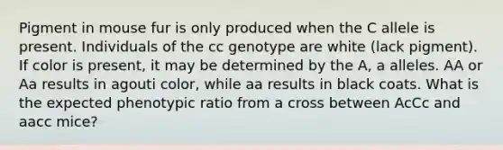 Pigment in mouse fur is only produced when the C allele is present. Individuals of the cc genotype are white (lack pigment). If color is present, it may be determined by the A, a alleles. AA or Aa results in agouti color, while aa results in black coats. What is the expected phenotypic ratio from a cross between AcCc and aacc mice?