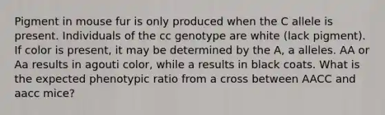 Pigment in mouse fur is only produced when the C allele is present. Individuals of the cc genotype are white (lack pigment). If color is present, it may be determined by the A, a alleles. AA or Aa results in agouti color, while a results in black coats. What is the expected phenotypic ratio from a cross between AACC and aacc mice?