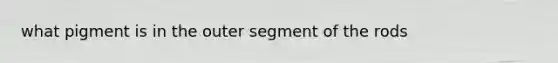 what pigment is in the outer segment of the rods