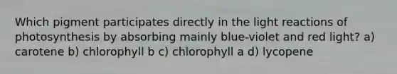 Which pigment participates directly in the light reactions of photosynthesis by absorbing mainly blue-violet and red light? a) carotene b) chlorophyll b c) chlorophyll a d) lycopene