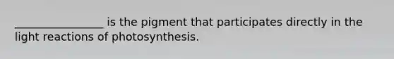 ________________ is the pigment that participates directly in the light reactions of photosynthesis.