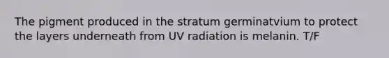 The pigment produced in the stratum germinatvium to protect the layers underneath from UV radiation is melanin. T/F