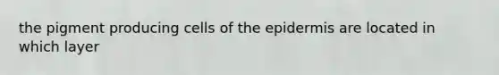 the pigment producing cells of the epidermis are located in which layer