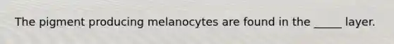 The pigment producing melanocytes are found in the _____ layer.