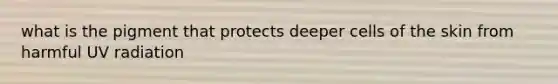 what is the pigment that protects deeper cells of the skin from harmful UV radiation