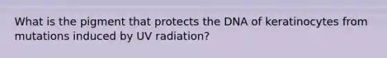 What is the pigment that protects the DNA of keratinocytes from mutations induced by UV radiation?