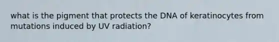 what is the pigment that protects the DNA of keratinocytes from mutations induced by UV radiation?