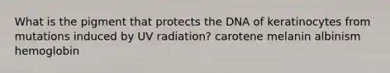 What is the pigment that protects the DNA of keratinocytes from mutations induced by UV radiation? carotene melanin albinism hemoglobin