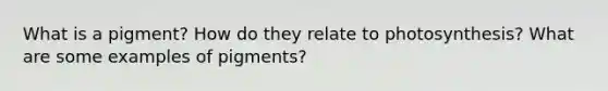 What is a pigment? How do they relate to photosynthesis? What are some examples of pigments?