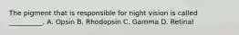 The pigment that is responsible for night vision is called __________. A. Opsin B. Rhodopsin C. Gamma D. Retinal