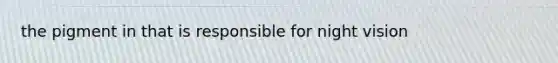 the pigment in that is responsible for night vision
