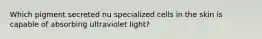 Which pigment secreted nu specialized cells in the skin is capable of absorbing ultraviolet light?