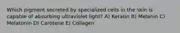 Which pigment secreted by specialized cells in the skin is capable of absorbing ultraviolet light? A) Keratin B) Melanin C) Melatonin D) Carotene E) Collagen