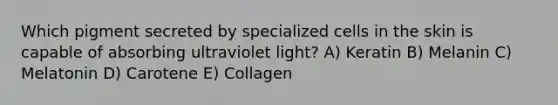 Which pigment secreted by specialized cells in the skin is capable of absorbing ultraviolet light? A) Keratin B) Melanin C) Melatonin D) Carotene E) Collagen