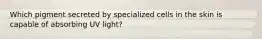 Which pigment secreted by specialized cells in the skin is capable of absorbing UV light?