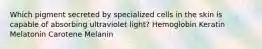 Which pigment secreted by specialized cells in the skin is capable of absorbing ultraviolet light? Hemoglobin Keratin Melatonin Carotene Melanin