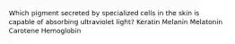 Which pigment secreted by specialized cells in the skin is capable of absorbing ultraviolet light? Keratin Melanin Melatonin Carotene Hemoglobin