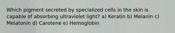 Which pigment secreted by specialized cells in the skin is capable of absorbing ultraviolet light? a) Keratin b) Melanin c) Melatonin d) Carotene e) Hemoglobin