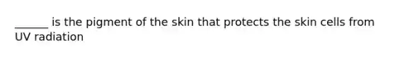 ______ is the pigment of the skin that protects the skin cells from UV radiation