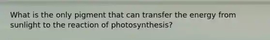 What is the only pigment that can transfer the energy from sunlight to the reaction of photosynthesis?