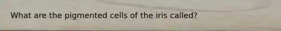 What are the pigmented cells of the iris called?