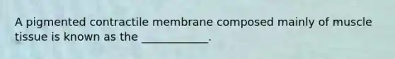 A pigmented contractile membrane composed mainly of muscle tissue is known as the ____________.